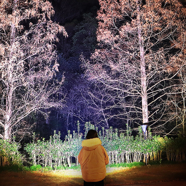 🔥2025 Superutrustning för utomhusbruk🔥Superljusstark uppladdningsbar pannlampa med hög effekt